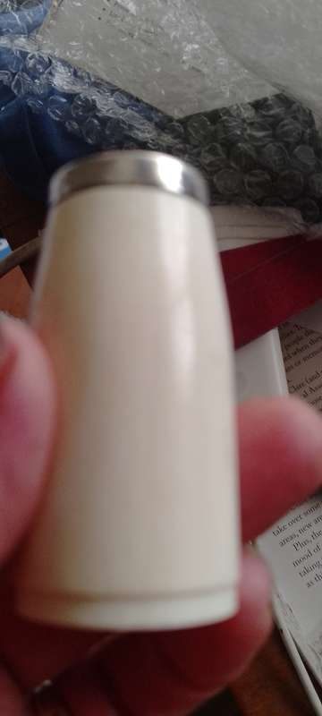 A pair of bone salt and pepper shakers