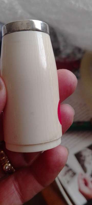 A pair of bone salt and pepper shakers