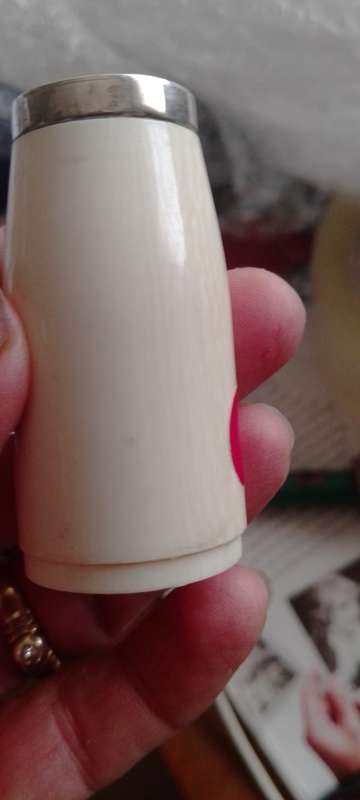 A pair of bone salt and pepper shakers