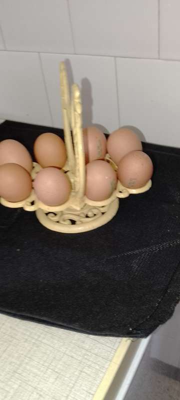 A heavy cast iron -chicken egg holder
