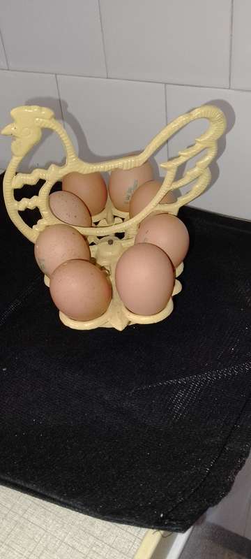 A heavy cast iron -chicken egg holder