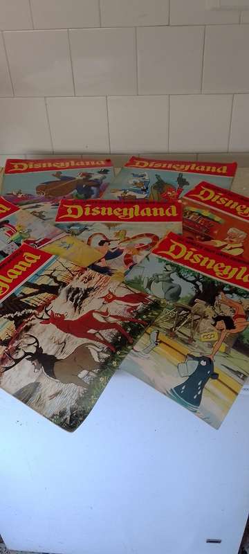 7x Disneyland magazines.