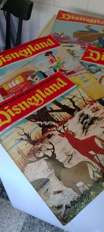 7x Disneyland magazines.