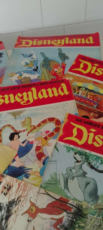 7x Disneyland magazines.