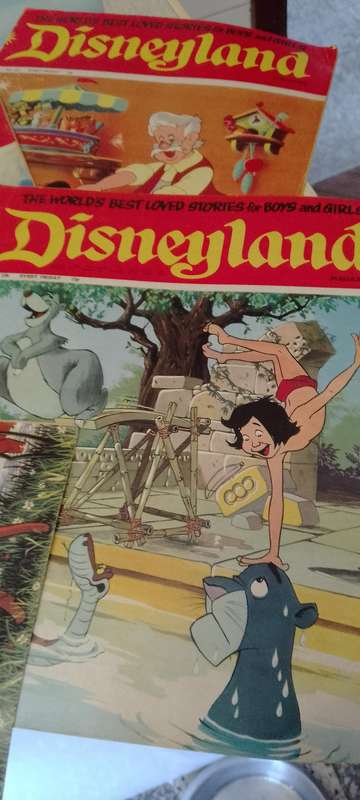 7x Disneyland magazines.