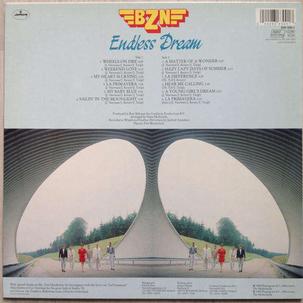 BZN  Endless Dream - Vinyl