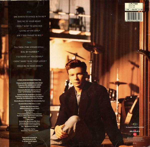 Rick Astley  Hold Me In Your Arms - Vinyl