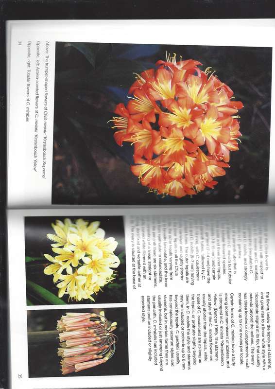 Grow Clivias - Graham Duncan - Kirstenbosch Gardening Series - 194 Page Paperback