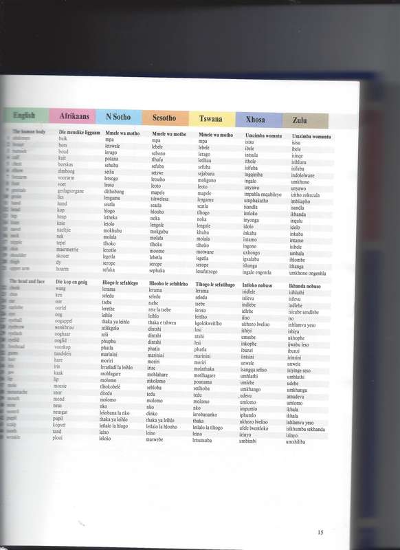 South African Multi-Language Dictionary and Phrase Book: English, Afrikaans, Northern Sotho, Sesotho