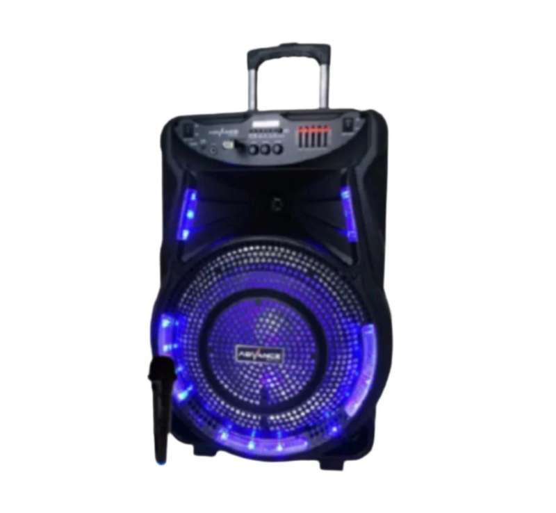 Digimark 15 inch Professional Mobile Speaker System