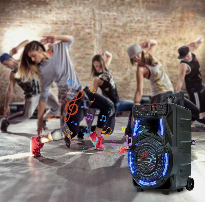 Digimark 15 inch Professional Mobile Speaker System