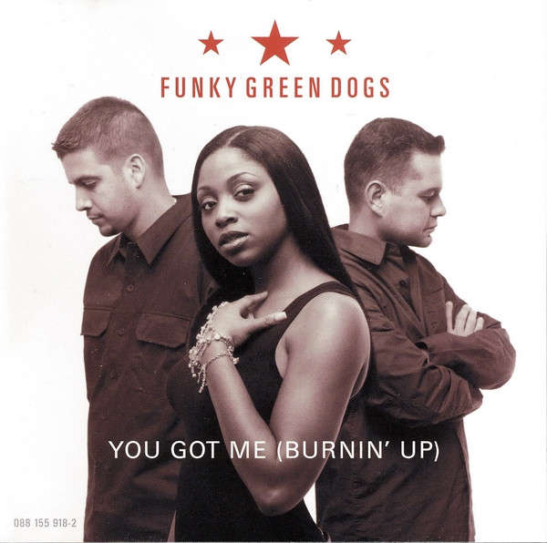 CD - Funky Green Dogs - You Got Me (Burnin' Up)