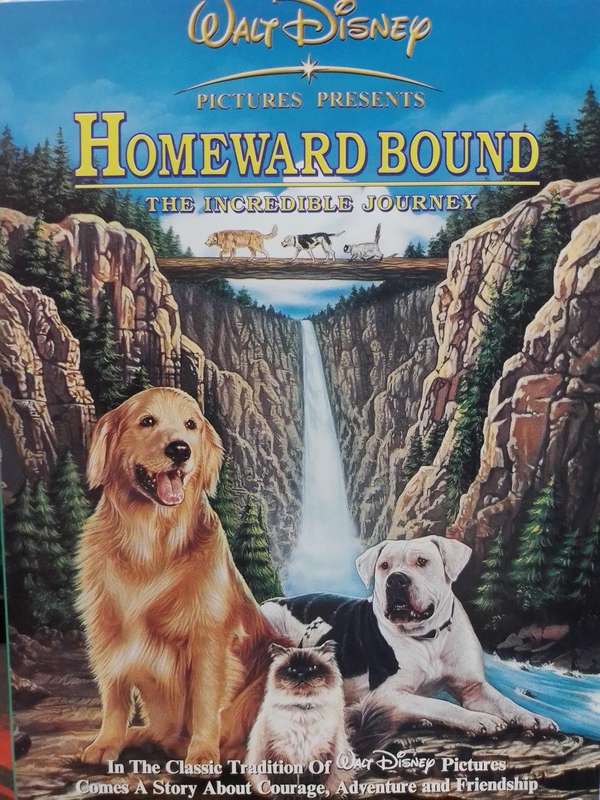 DVD - Homeward Bound The Incredible Journey