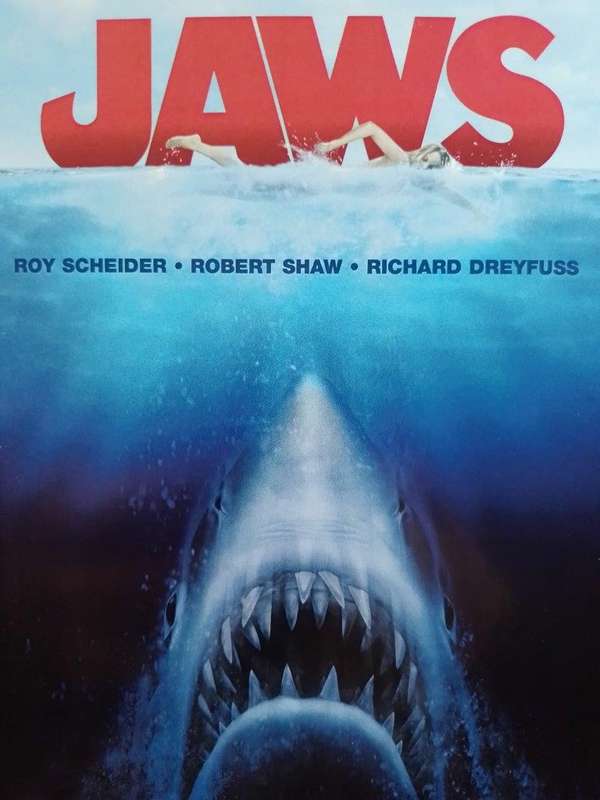 DVD - JAWS