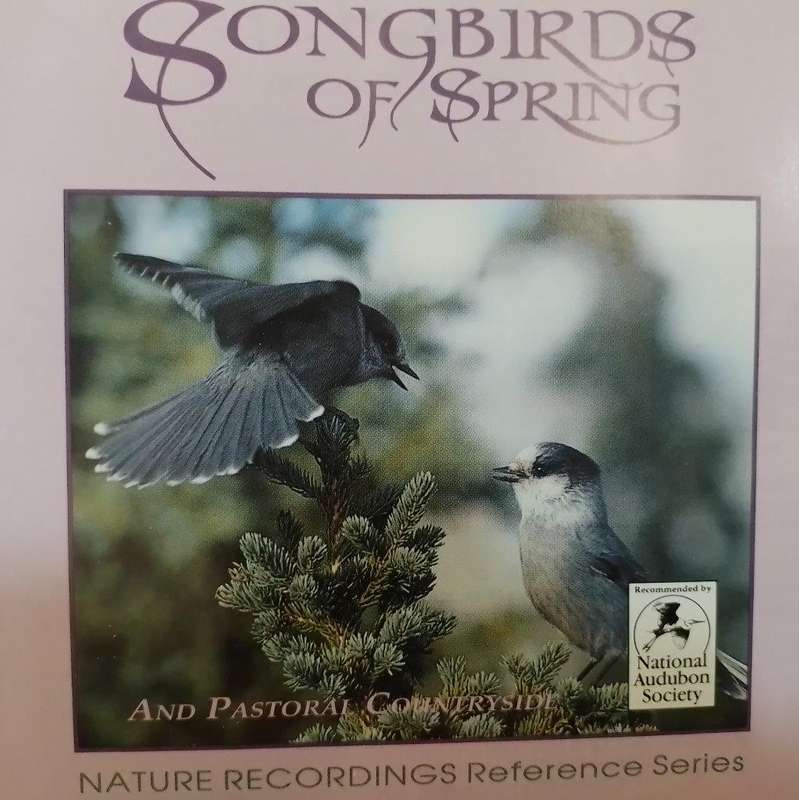 CD - Songbirds of Spring