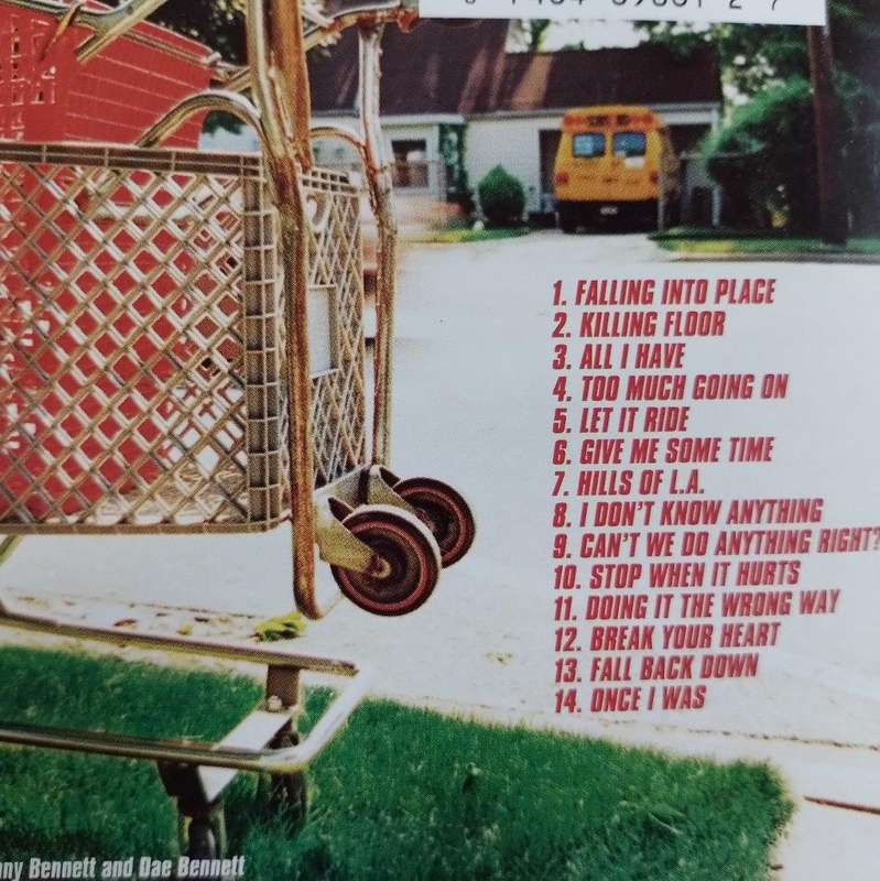 CD - Mike Viola and the Candy Butchers - Falling Into Place