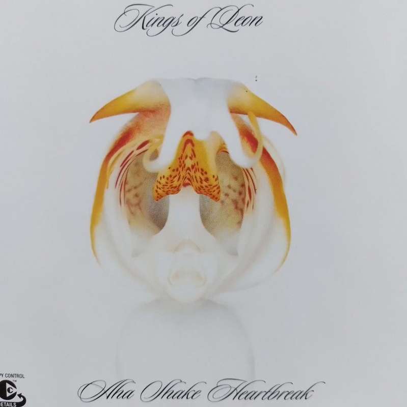 CD - Kings Of Leon - Aha Shake Heartbreak