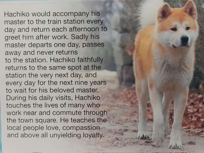 Blu-ray - Hachiko - A Dog's Story