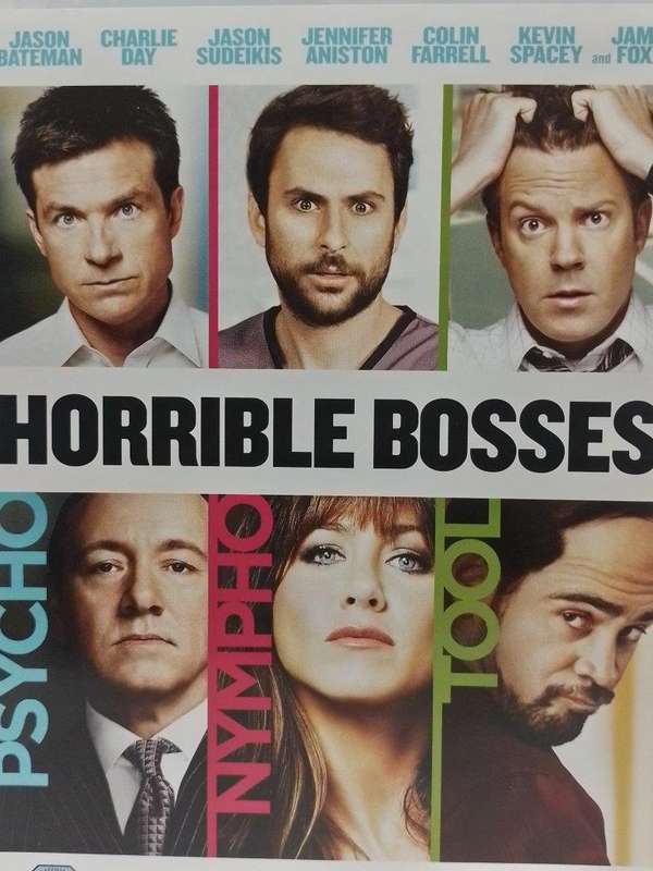 DVD - Horrible Bosses