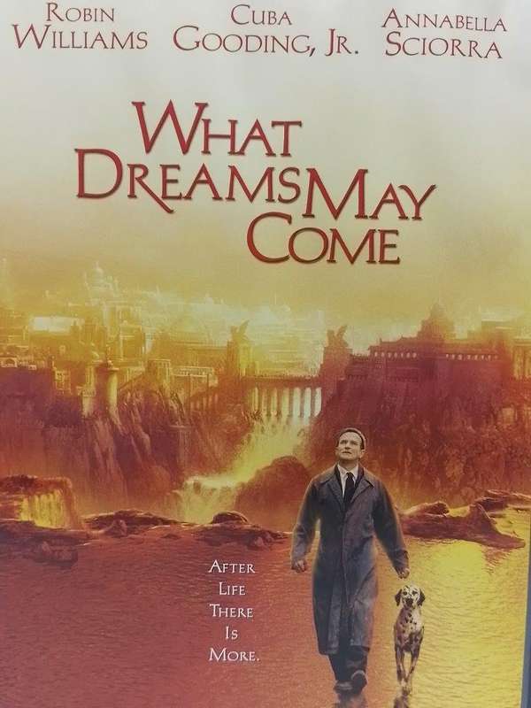 DVD - What Dreams May Come - Robin Williams