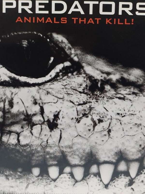DVD - Predators Animals That Kill