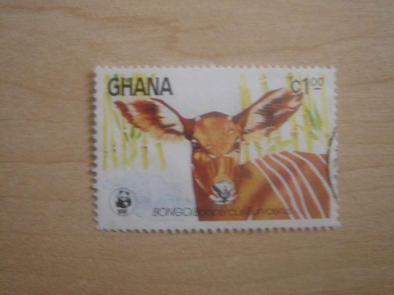 1984 Ghana - Bongo WWF 1 C used, stamped