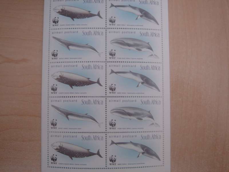 1998 RSA - Whales Booklet with sheet of 2 x 10 airmail postcard stamps MNH