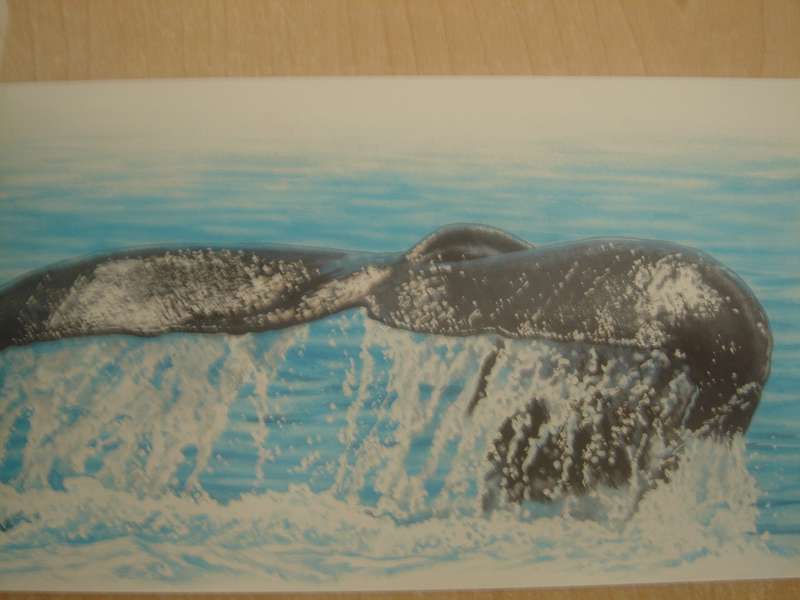 1998 RSA - Whales Booklet with sheet of 2 x 10 airmail postcard stamps MNH