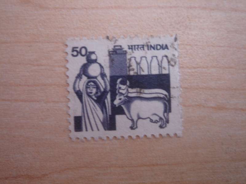 1981 India - Dairy Production 50 used, stamped