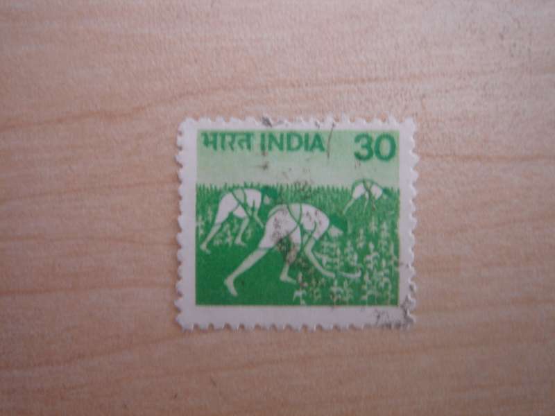 1979 India - Rice Planting 30 used, stamped