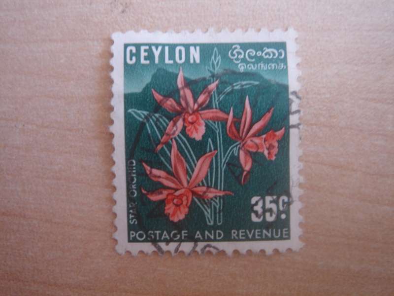 1951 Ceylon - Star Orchid SG424a - 35 c used, stamped