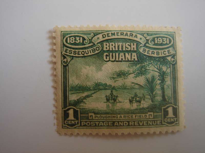 1934 British Guiana - SG288 green mint, hinged