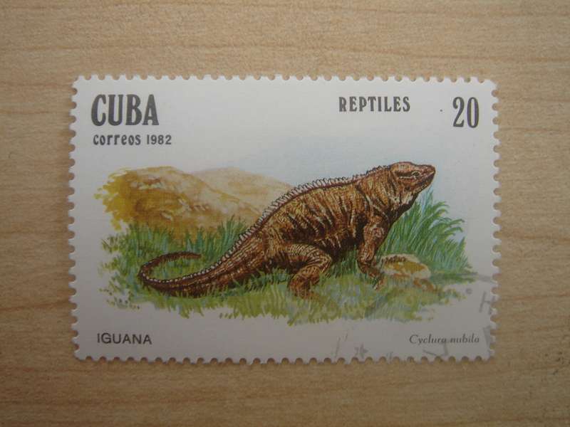 1982 Cuba - Iguana 20c used, stamped