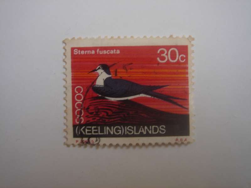 1969 Cocos (Keeling) Islands - Sooty Tern SG17 used, stamped