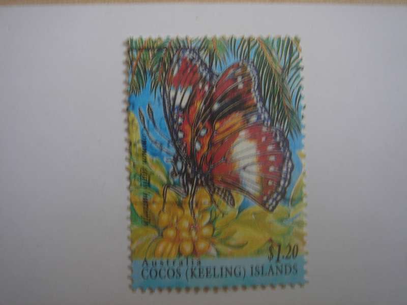 1995 Cocos (Keeling) Islands - Butterfly $1.20 used, stamped