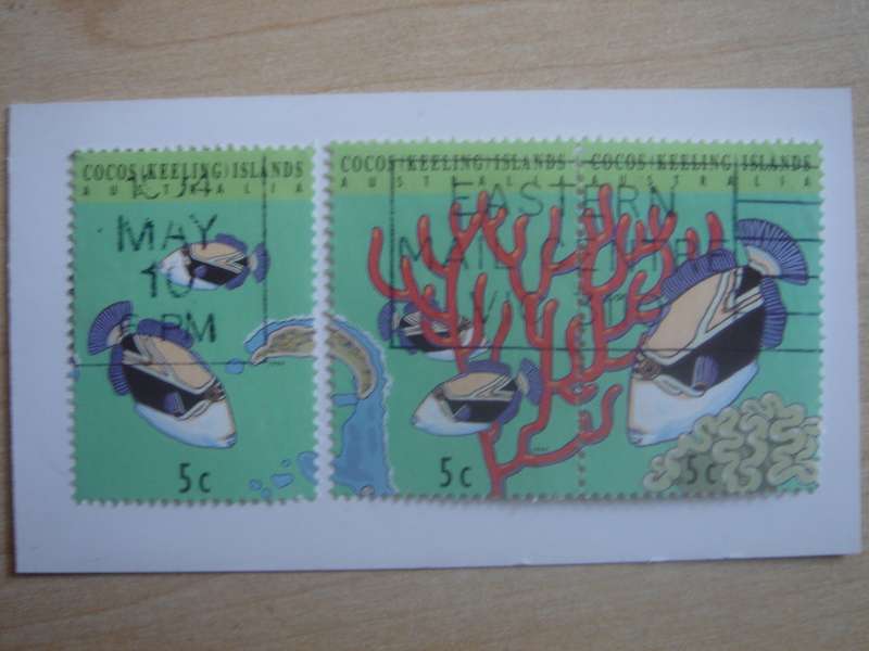 1994 Cocos (Keeling) Islands - Sealife 3 x 5c used, stamped