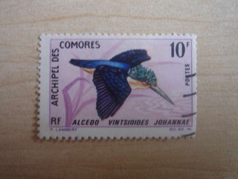 1967 Comoro Islands - Kingfisher SG61 used, stamped