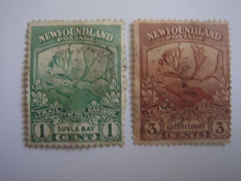 1911 Newfoundland - Caribou - SG130,132a used, stamped