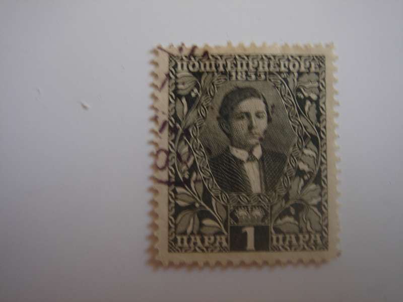 1910 Montenegro - Nicholas I (young) SG141 used, stamped