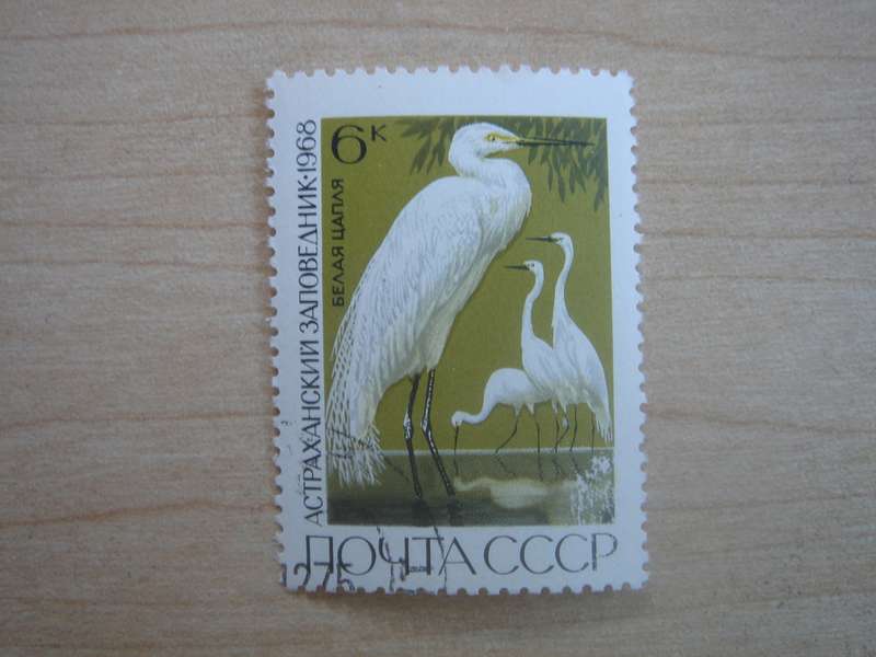 1968 USSR - White Herons 6 k SG3610 used, stamped