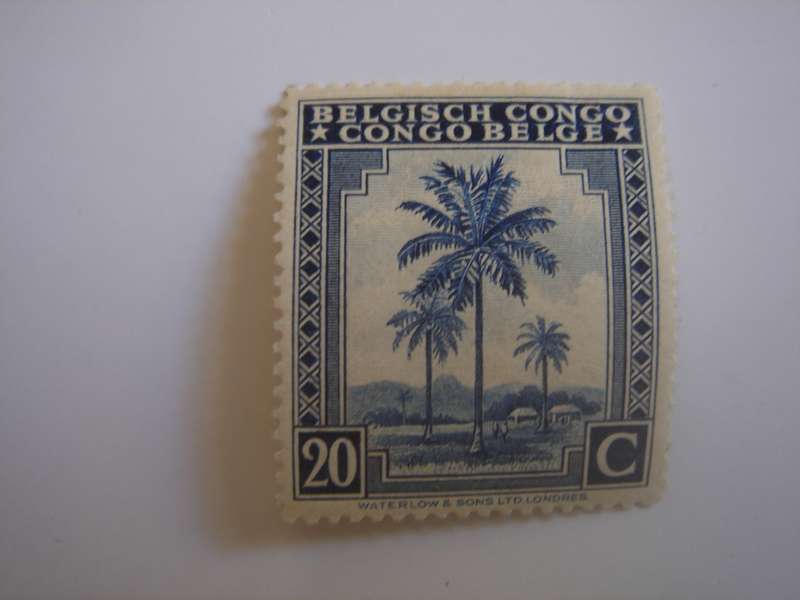 1942 Belgian Congo - SG253 mint, hinged