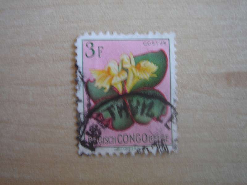 1952 Belgian Congo - Flower SG308 used, stamped