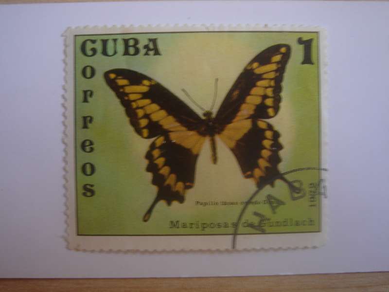 1972 Cuba - Butterfly SG1959 used, stamped