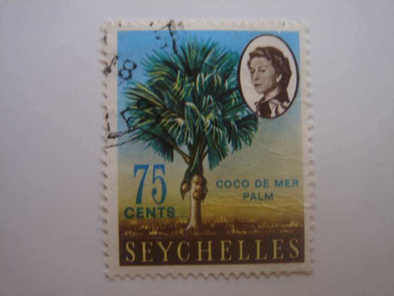 1962 Seychelles - Coco-de-mer Palms - SG206 used, stamped