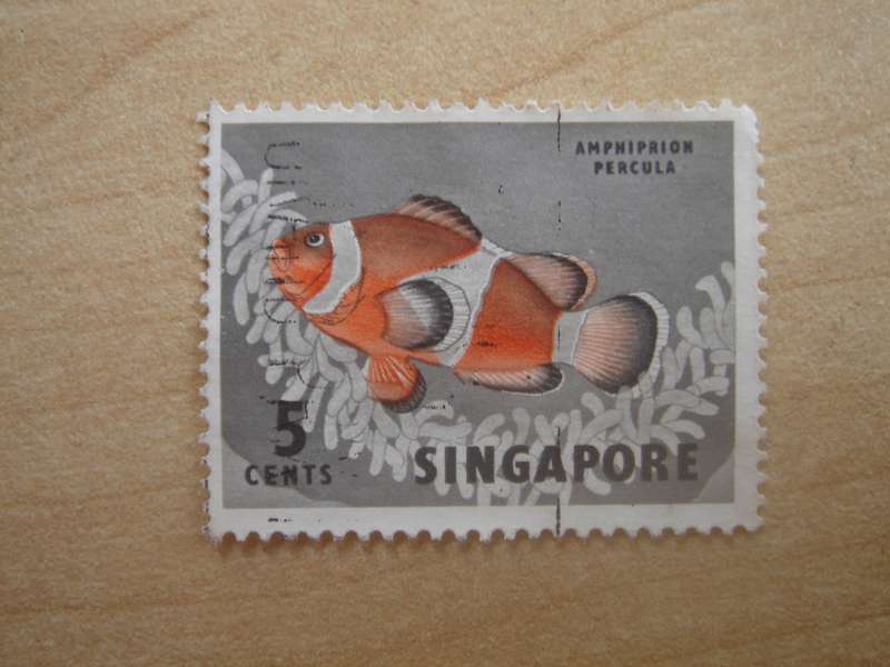 1962 Singapore - Clown Fish - SG84 used, stamped