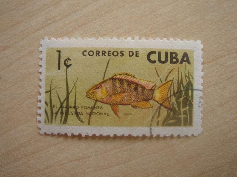 1964 Cuba - Fish - SG1119 used, stamped