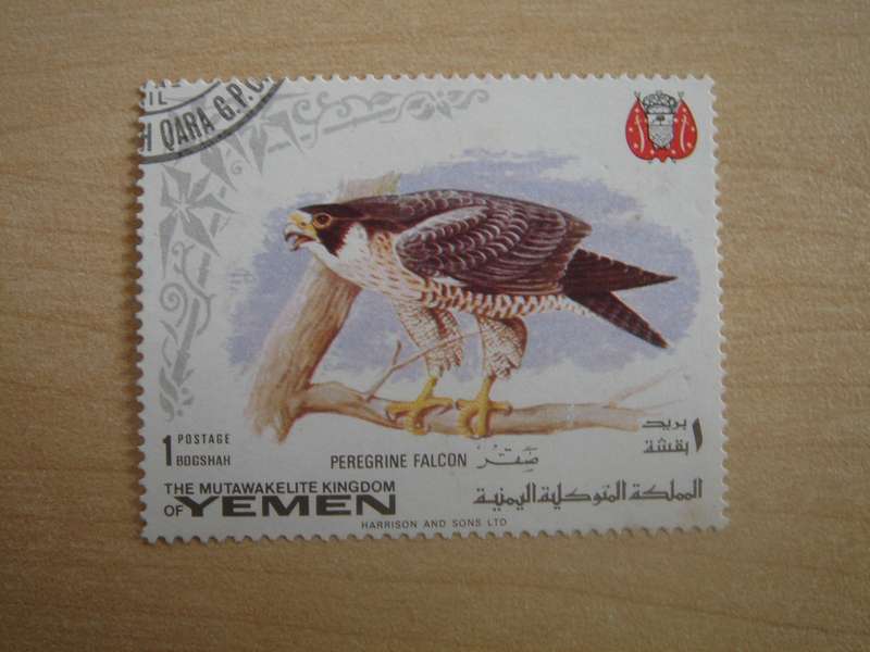 1969 Yemen - Peregrine Falcon 1 B used, stamped