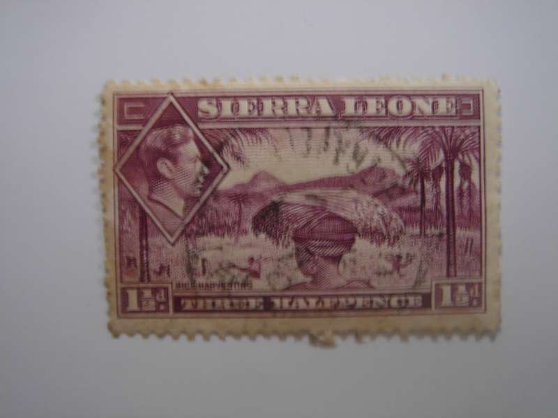 1938 Sierra Leone - King George VI - SG190a used, stamped