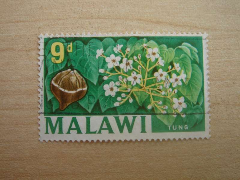 1969 Malawi - Tung - SG257 used, stamped