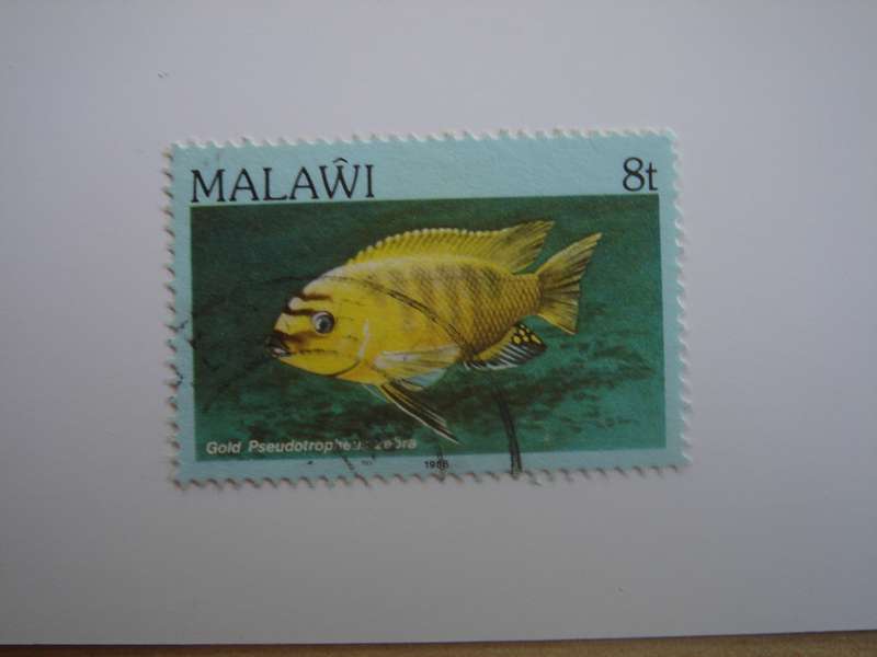 1986 Malawi - Fish - 8t used, stamped